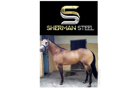 SHERMAN STEEL MAB